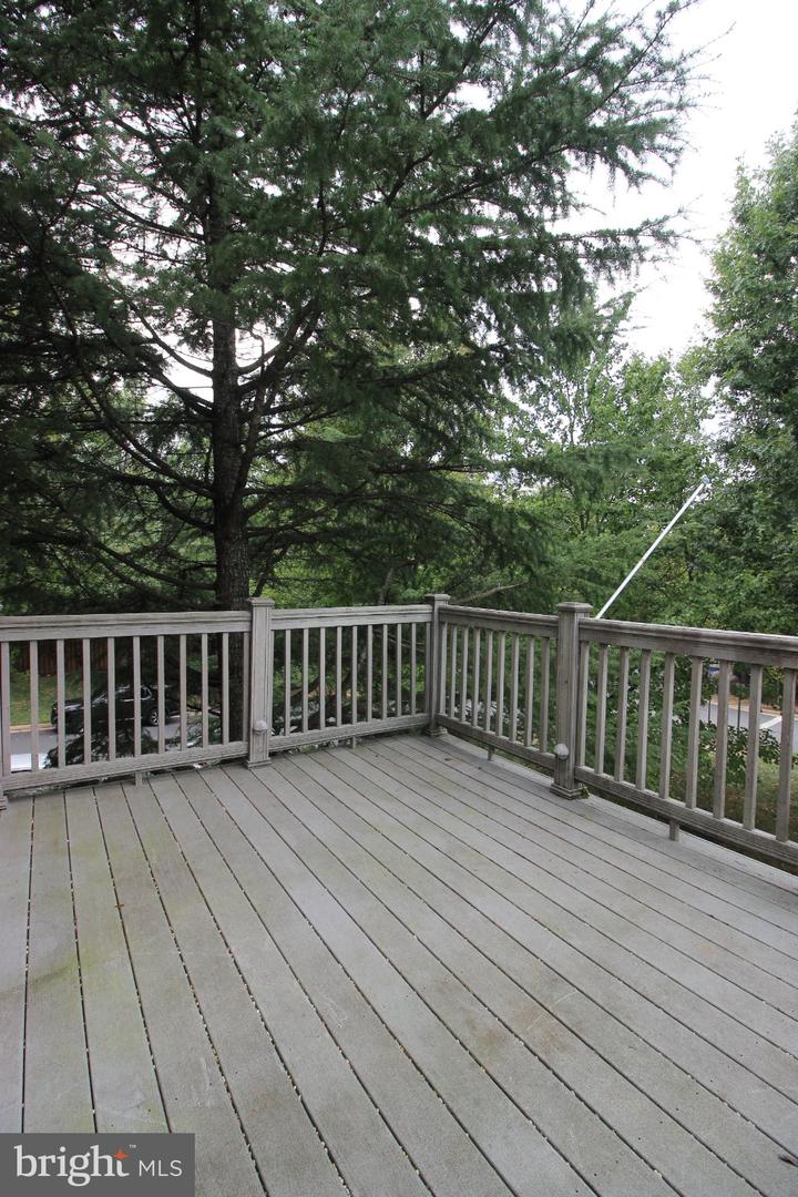 46140 Cecil Ter Property Photo 44