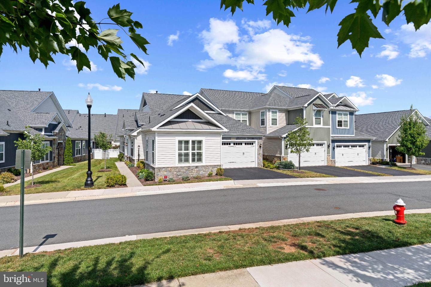 23702 September Sun Sq Property Photo 1