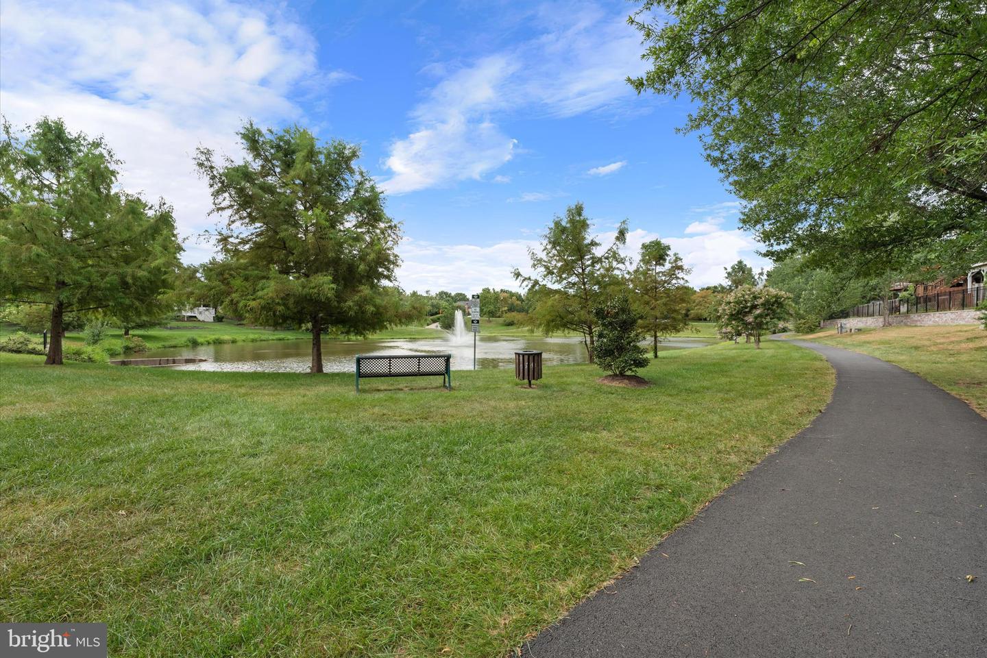 43297 Chokeberry Sq Property Photo 26