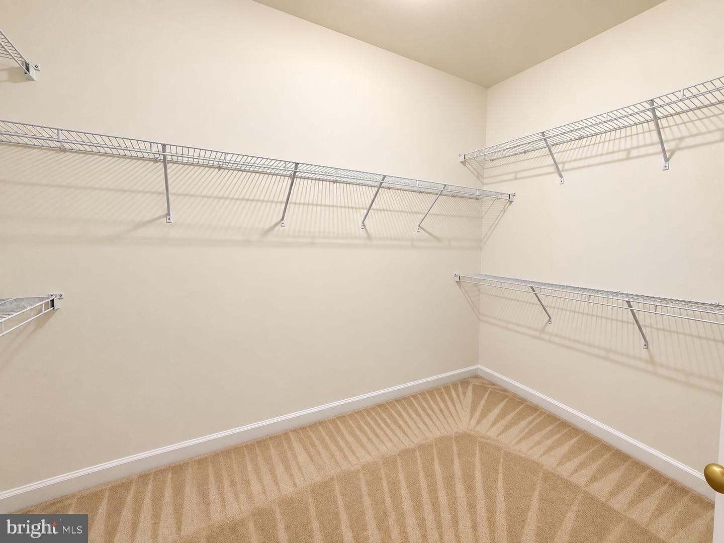 47636 Mid Surrey Sq Property Photo 18