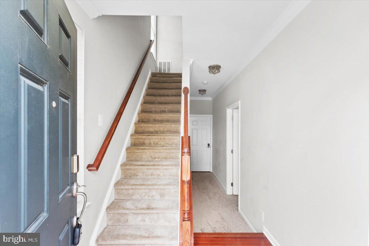 25119 Mcbryde Ter Property Photo 2