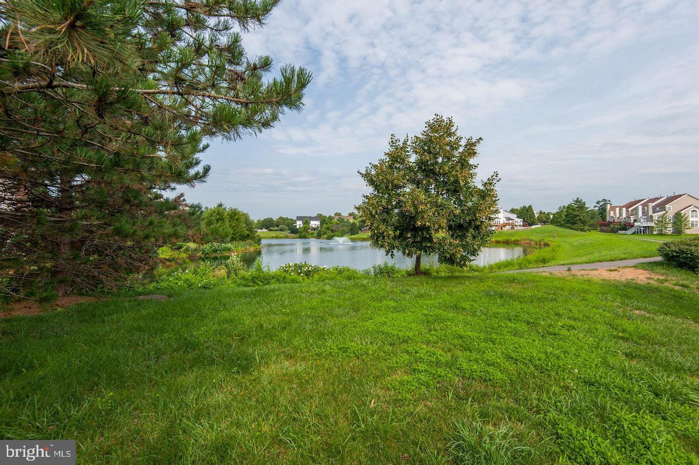 21264 Victorias Cross Ter Property Photo 3