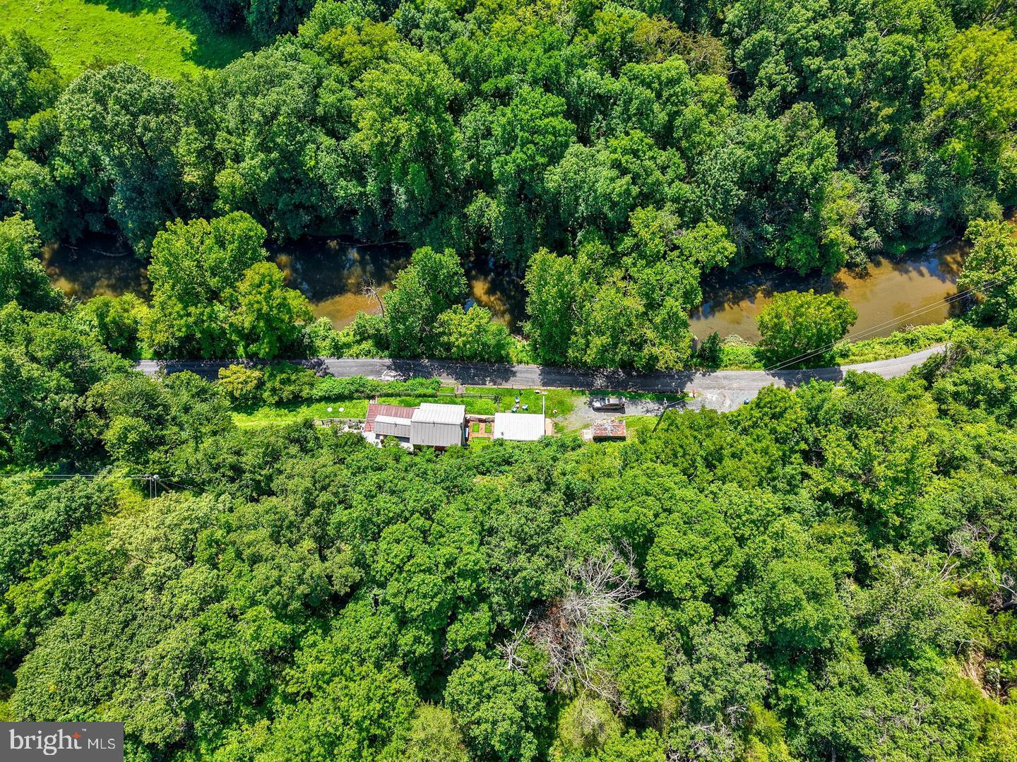 13316 Downey Mill Rd Property Photo 43
