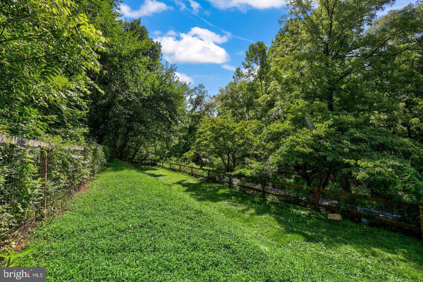 13316 Downey Mill Rd Property Photo 47