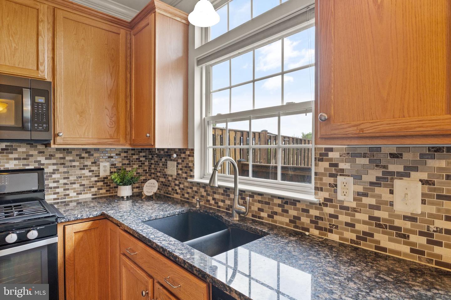 44479 Watertown Ter Property Photo 10