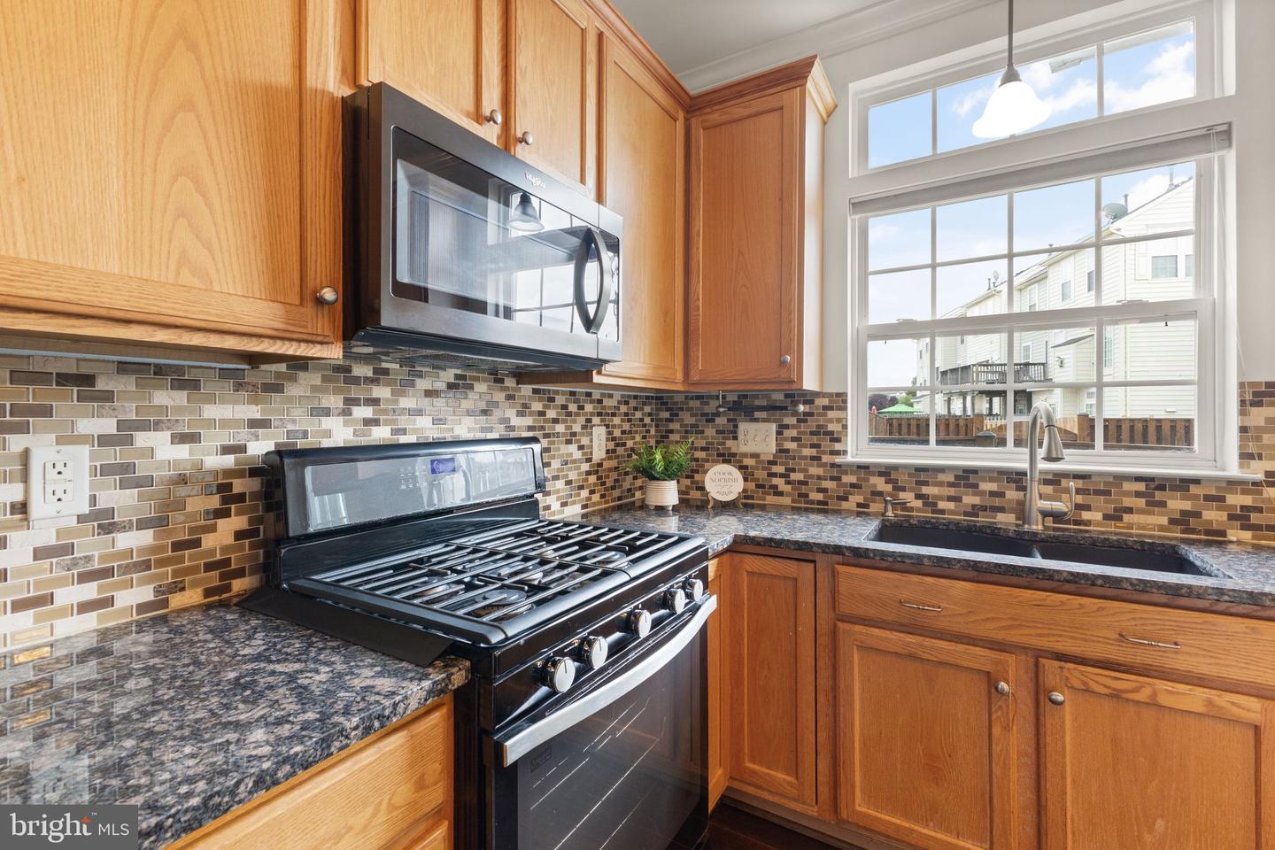 44479 Watertown Ter Property Photo 12