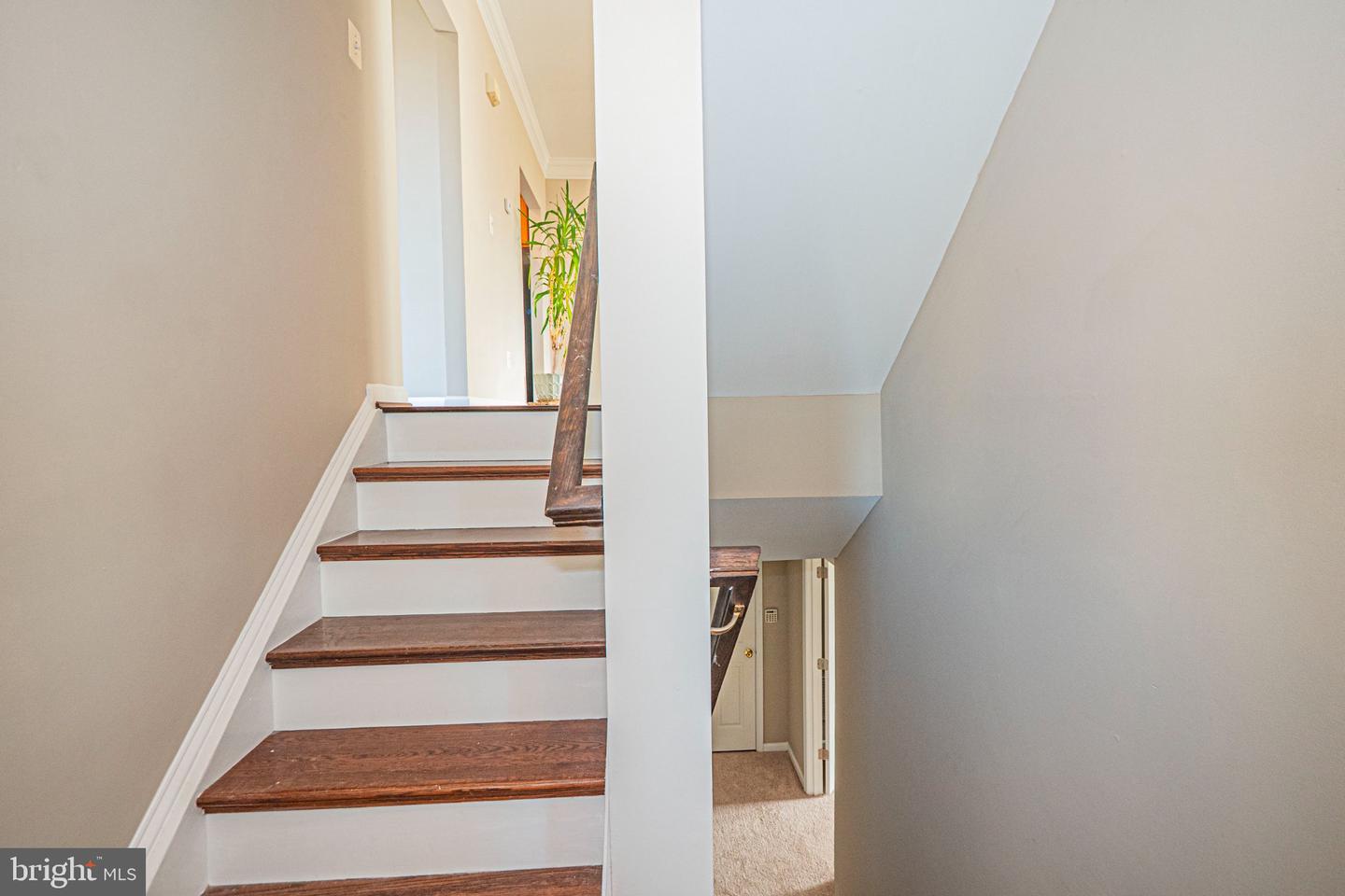 22619 Upperville Heights Sq Property Photo 2