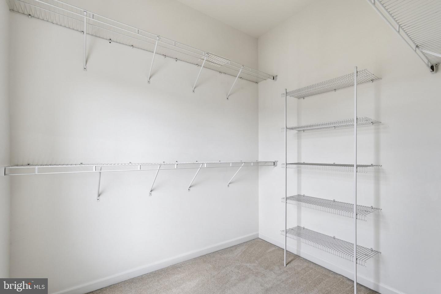 41806 Inspiration Ter Property Photo 30