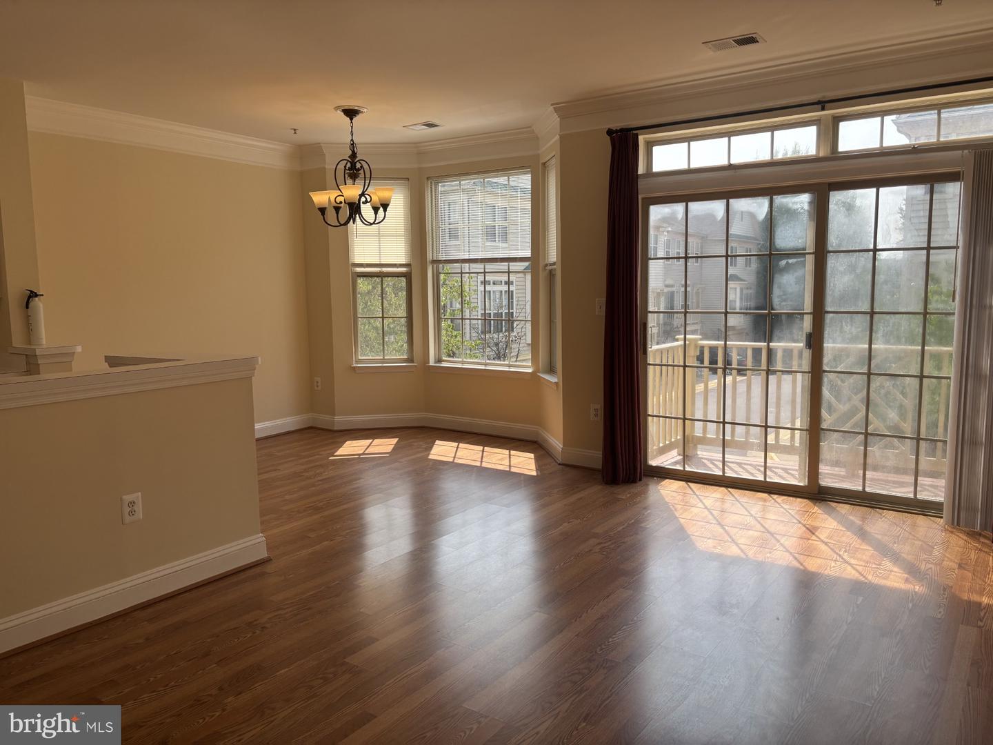 21156 Domain Ter Property Photo 3