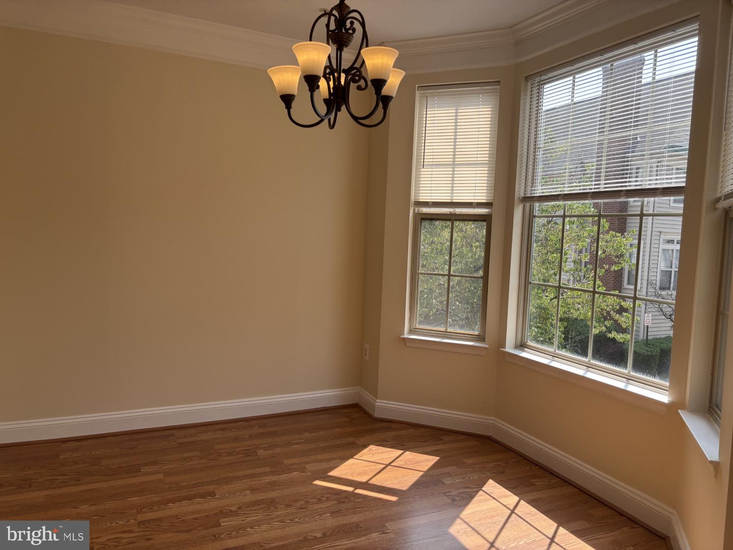 21156 Domain Ter Property Photo 4
