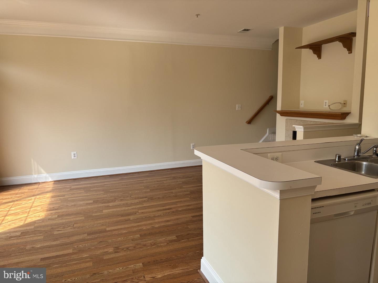 21156 Domain Ter Property Photo 8