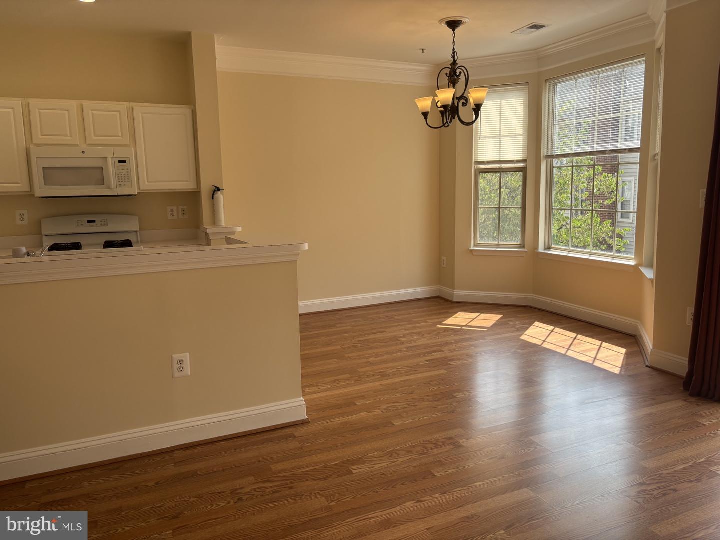 21156 Domain Ter Property Photo 9