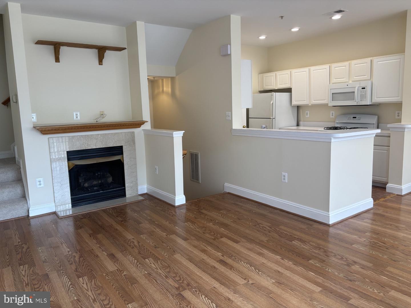 21156 Domain Ter Property Photo 11