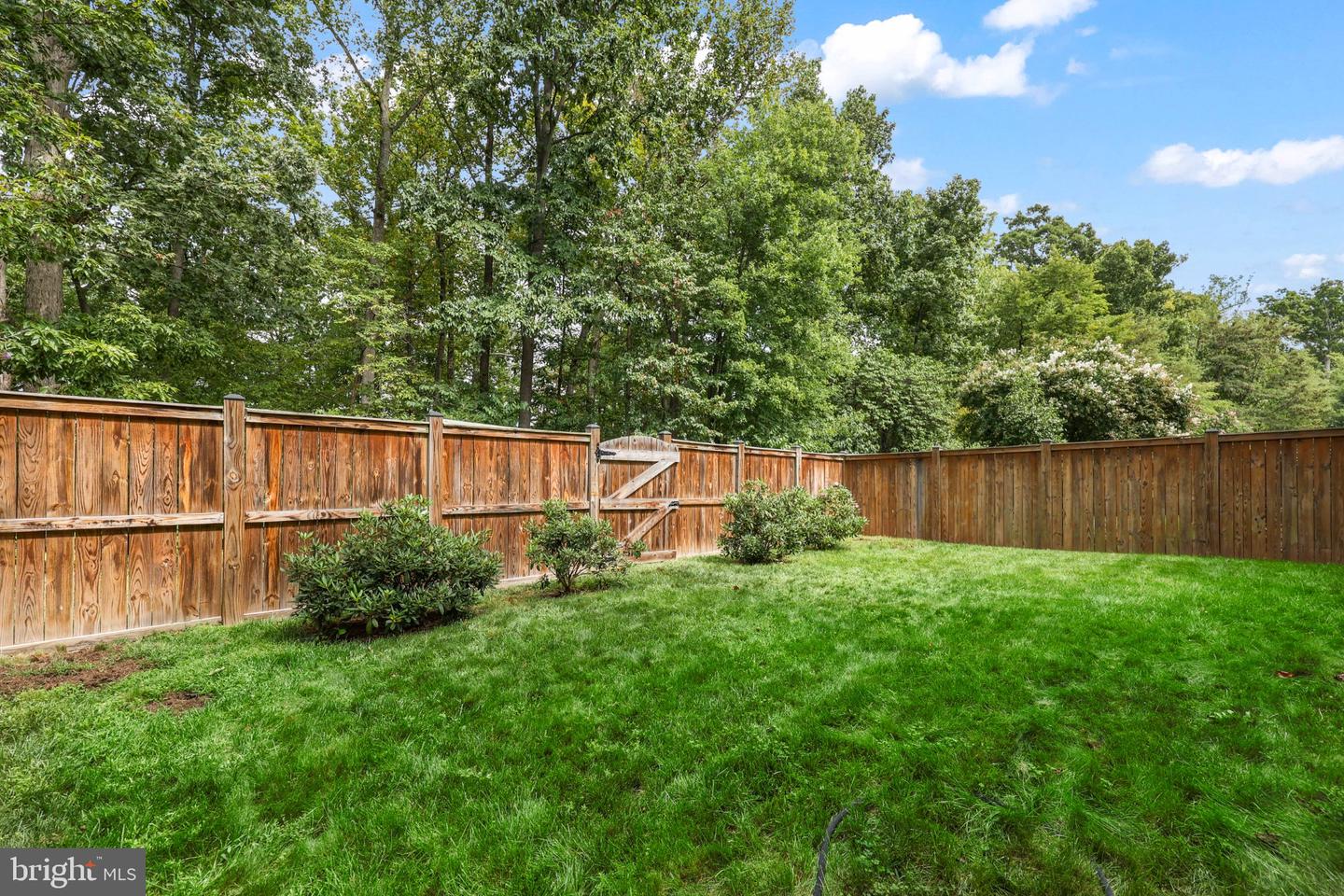 43576 Merchant Mill Ter Property Photo 56