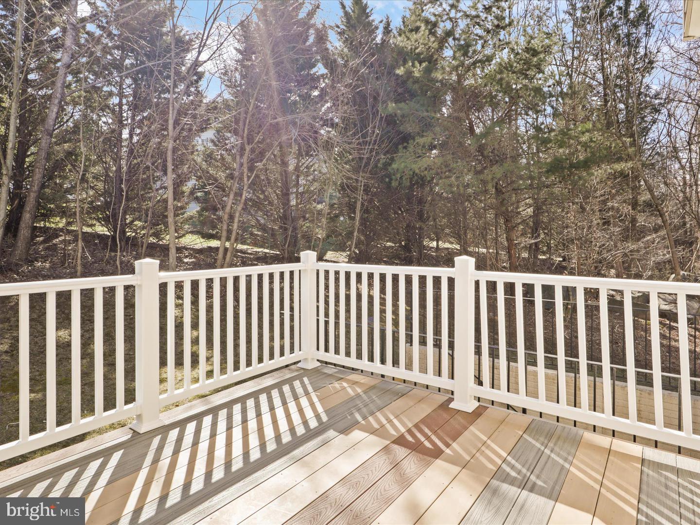 43417 Spring Cellar Ct Property Photo 48