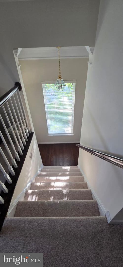24704 Clock Tower Sq Property Photo 9