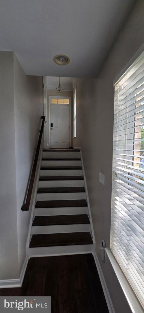 24704 Clock Tower Sq Property Photo 10