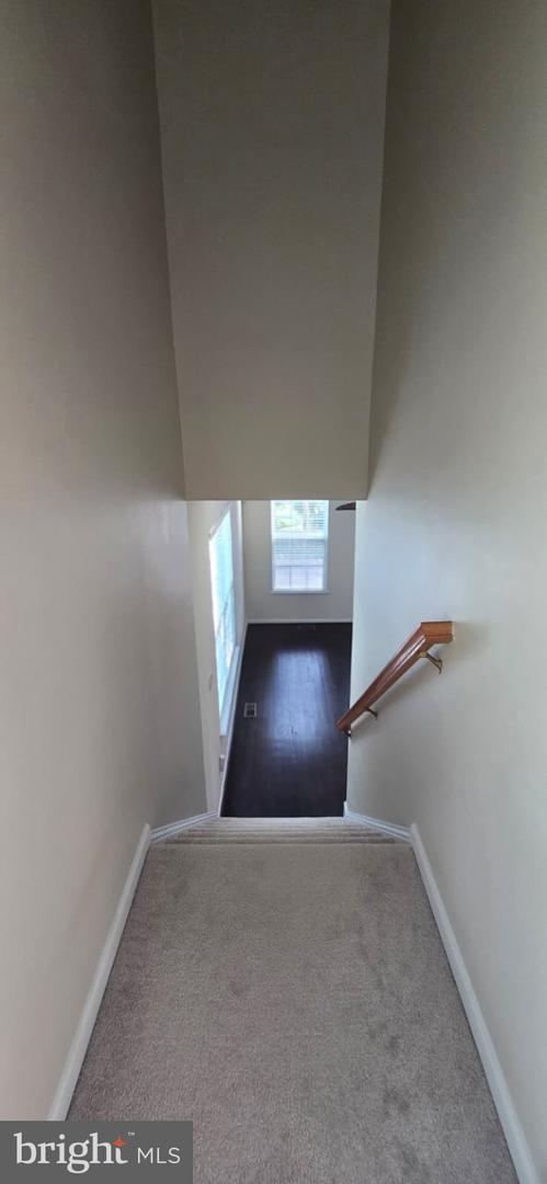 24704 Clock Tower Sq Property Photo 11