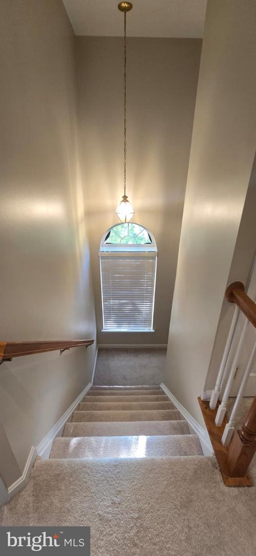 24704 Clock Tower Sq Property Photo 12