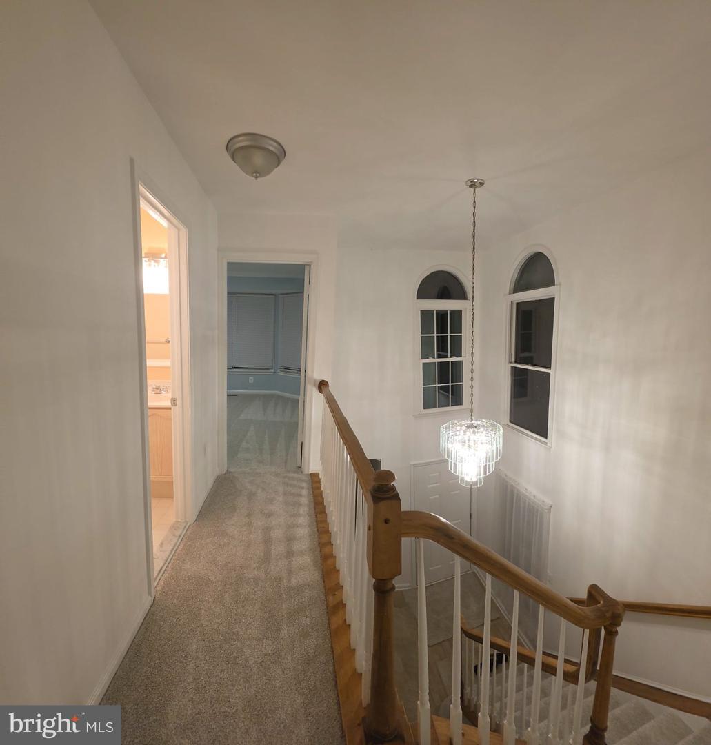 21780 Canfield Ter Property Photo 20