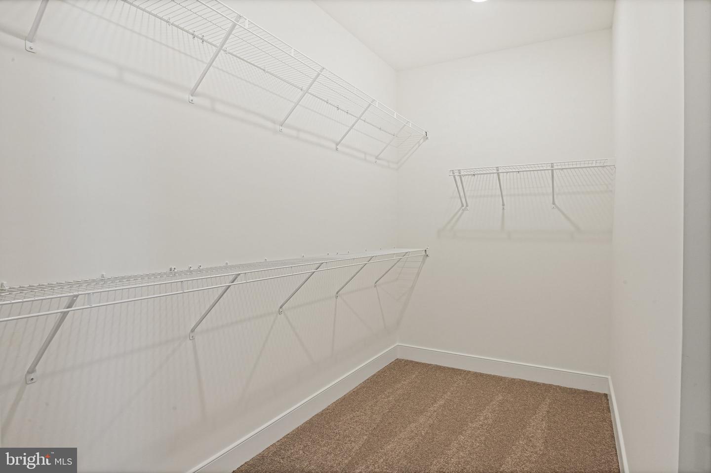 20064 Coral Wind Ter Property Photo 12