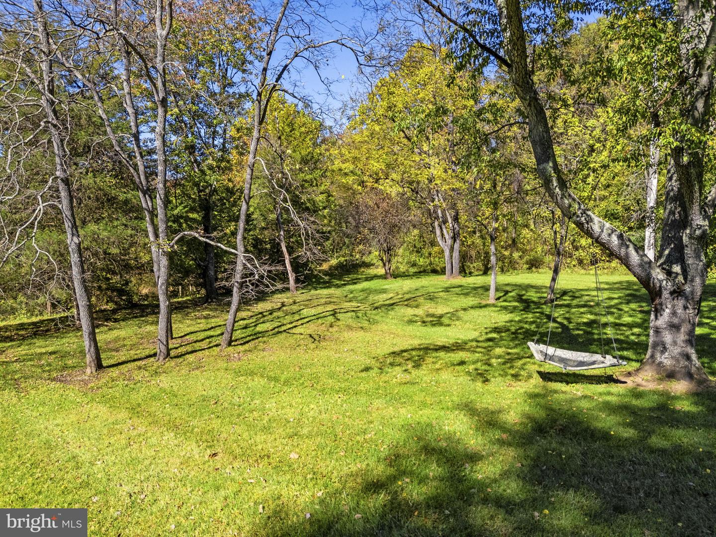 20473 Gleedsville Rd Property Photo 128