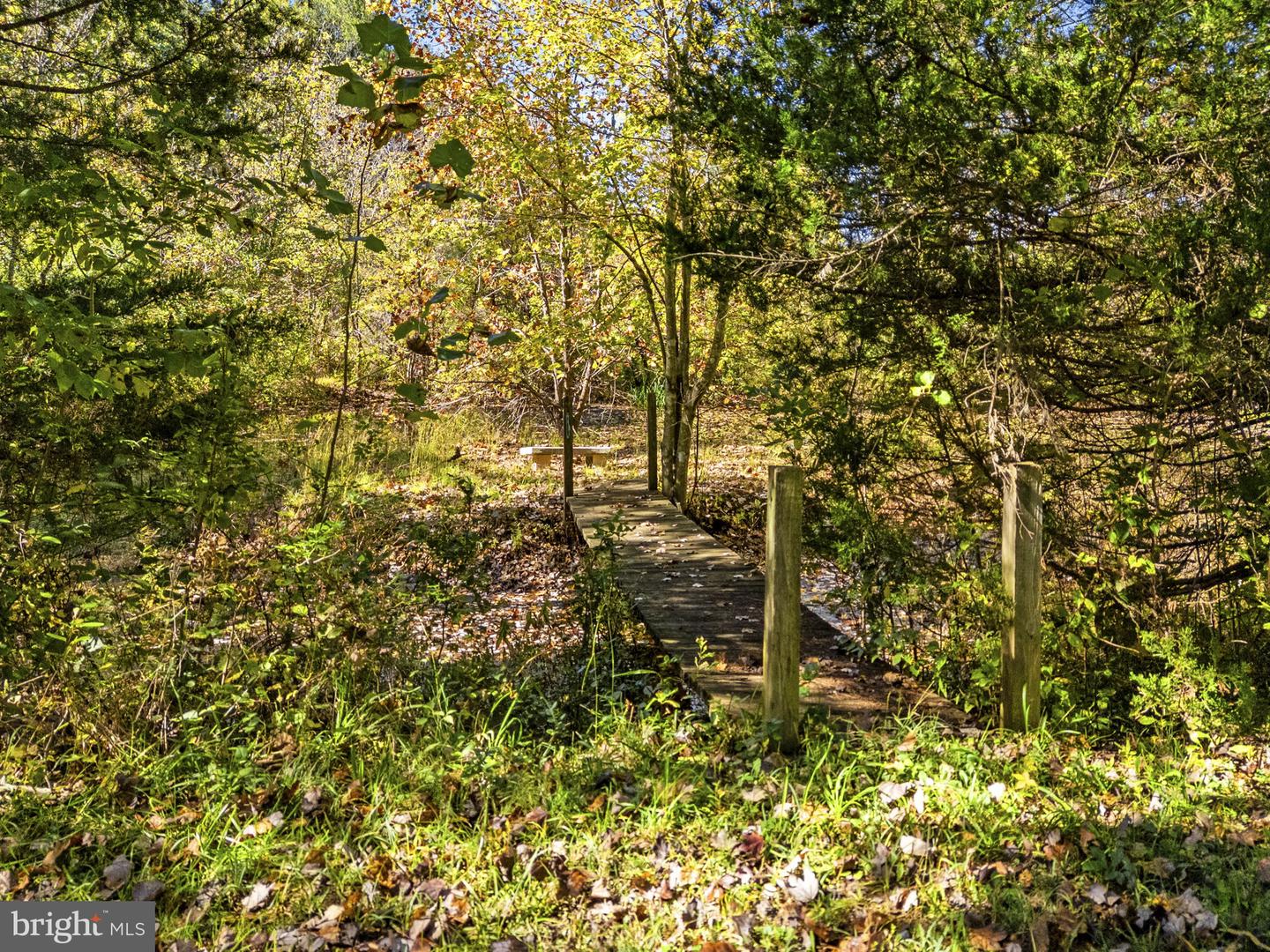 20473 Gleedsville Rd Property Photo 134