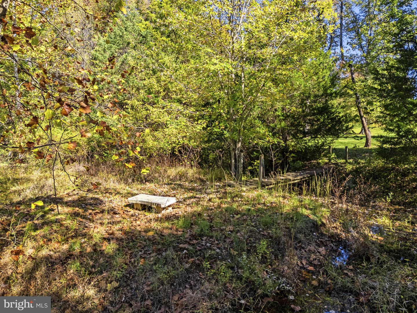 20473 Gleedsville Rd Property Photo 135