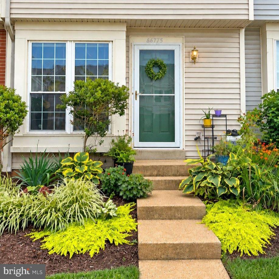 46775 Macaw Sq Property Photo 2