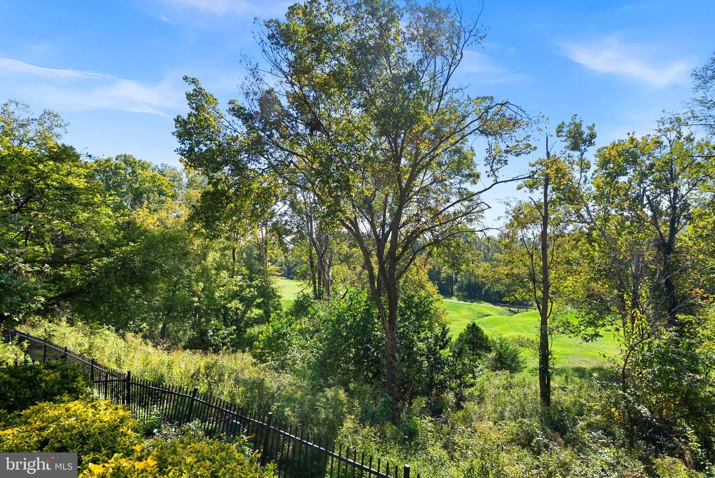 43781 Bent Creek Ter Property Photo 49