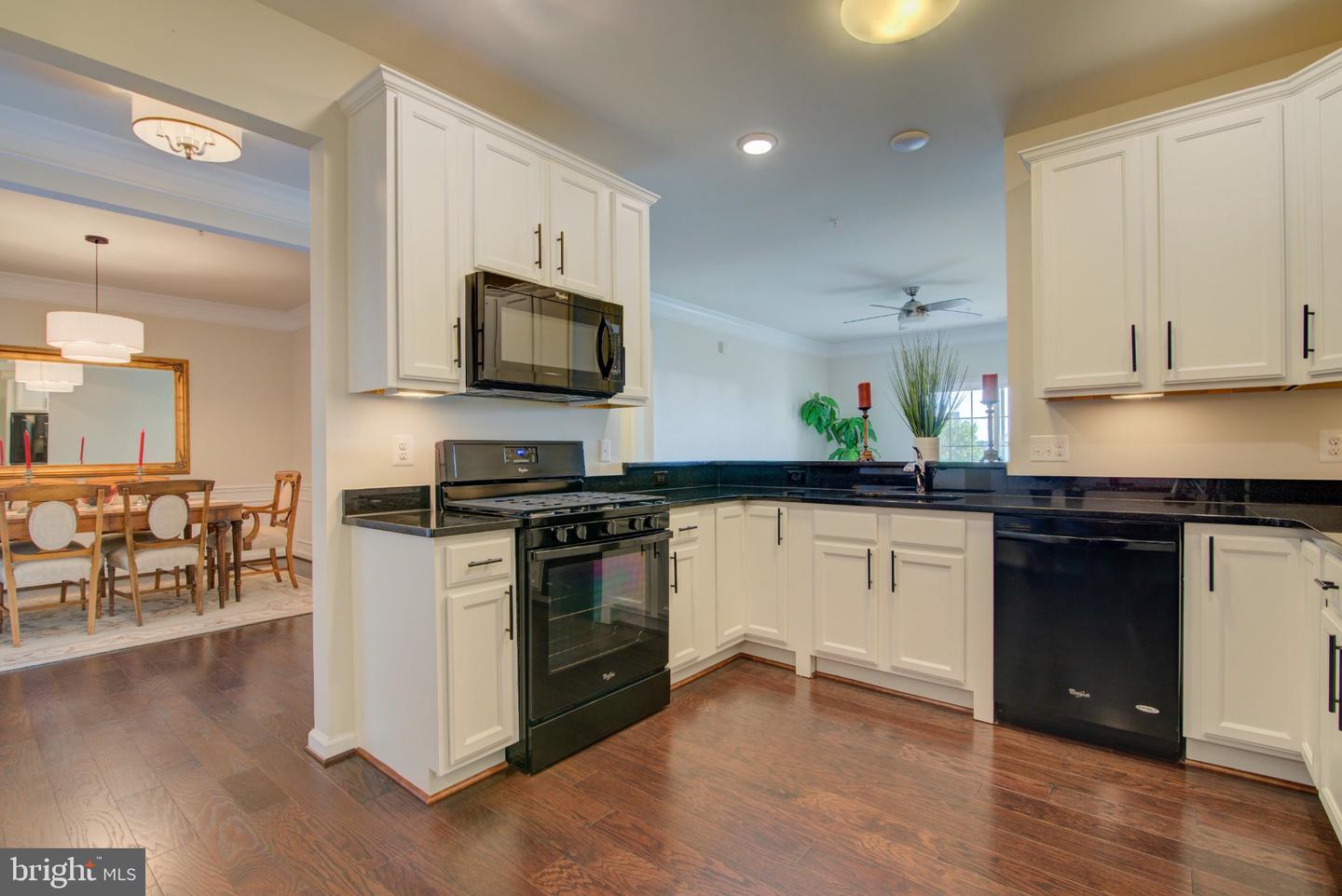 20630 Hope Spring Ter #303 Property Photo 13