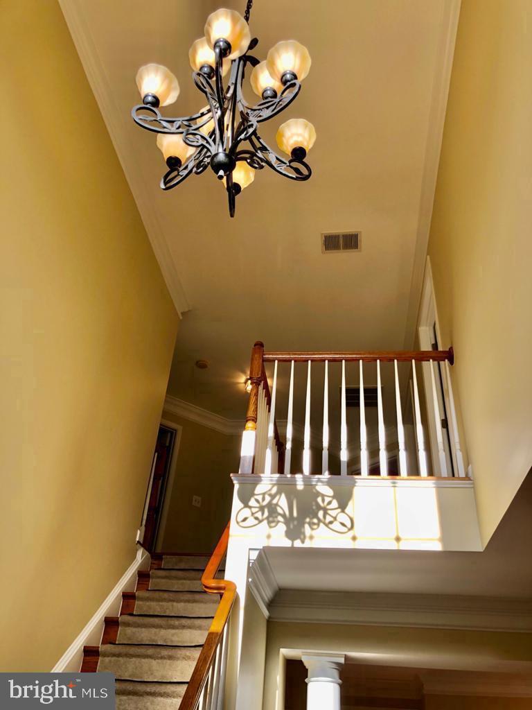 20084 Boxwood Pl Property Photo 14