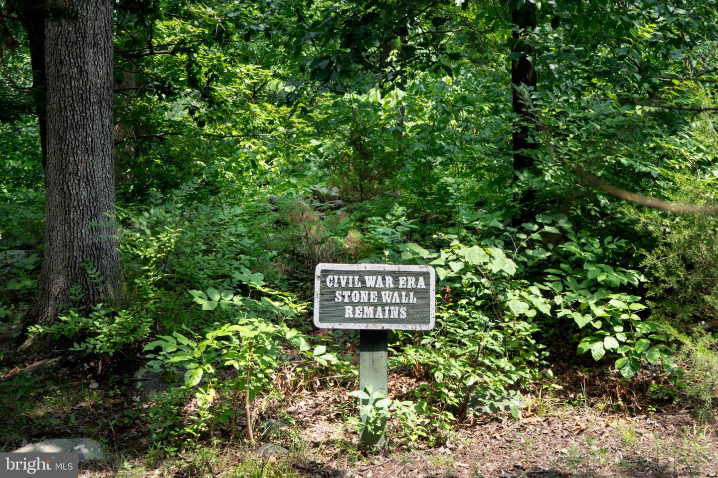 19355 Cypress Ridge Ter #905 Property Photo 9