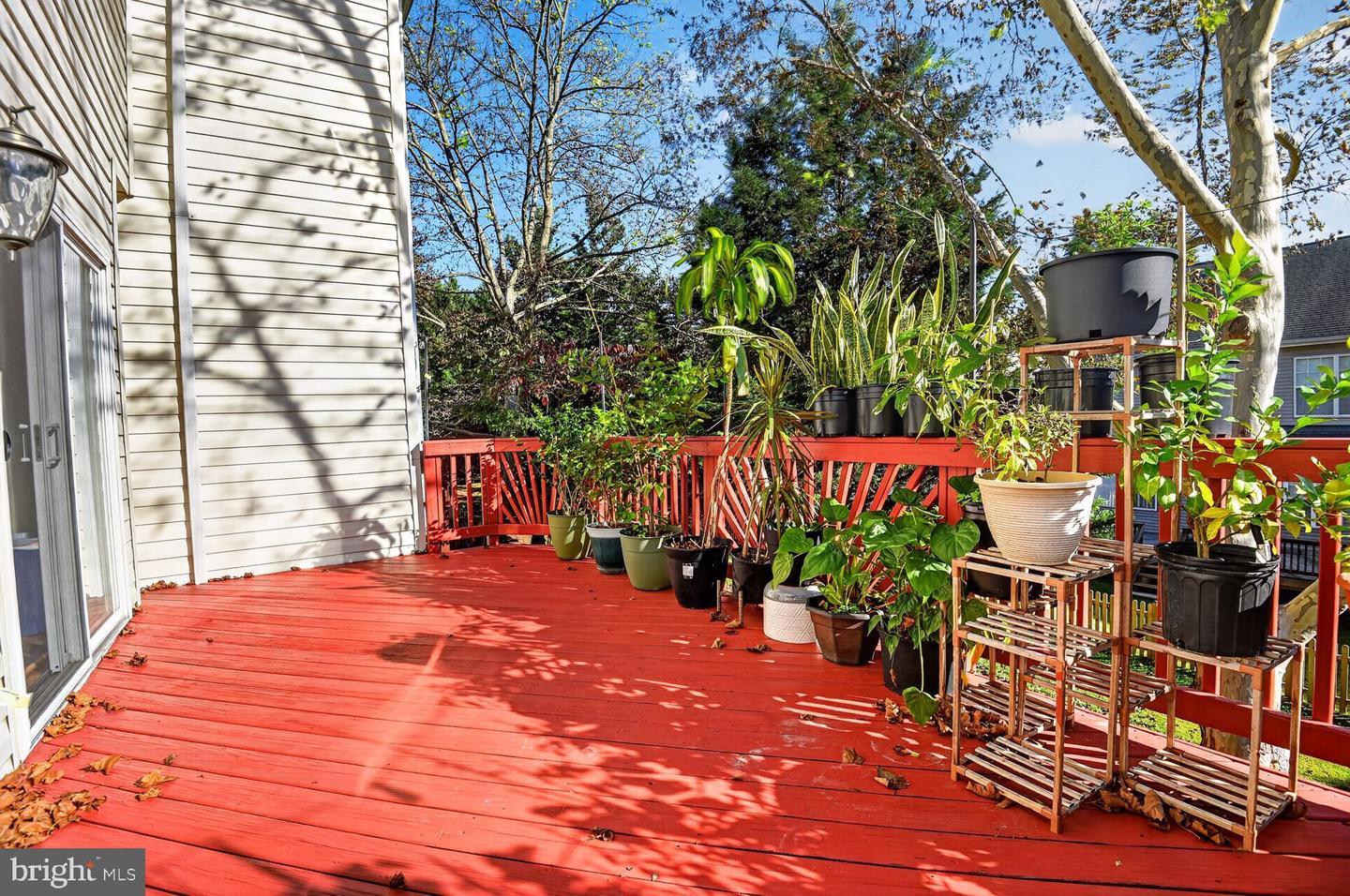 43449 Laidlow St Property Photo 13