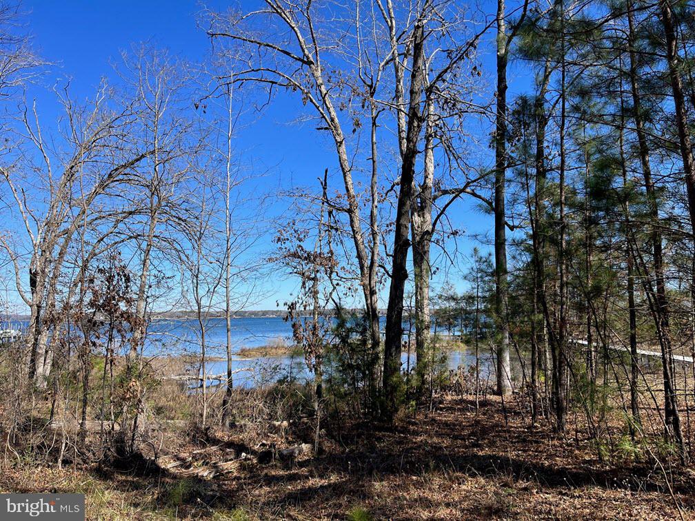 Lot 01 DEEP HARBOR LN Property Photo 1