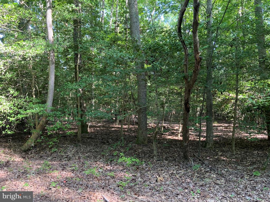 Lot 126 Lonesome Pines Trail Property Photo