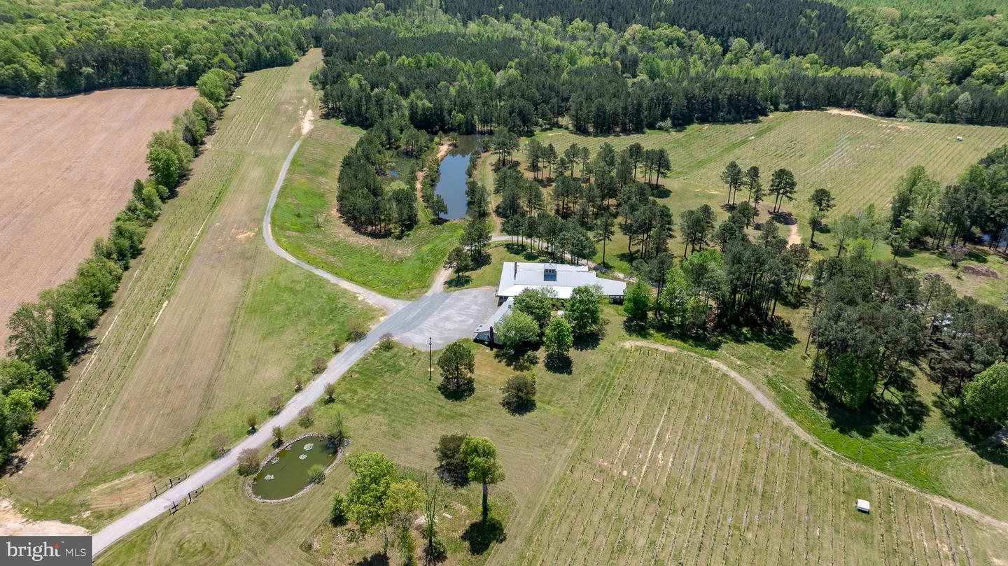 1025 Good Luck Rd Property Photo 34