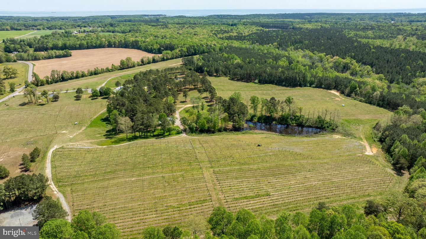 1025 Good Luck Rd Property Photo 49