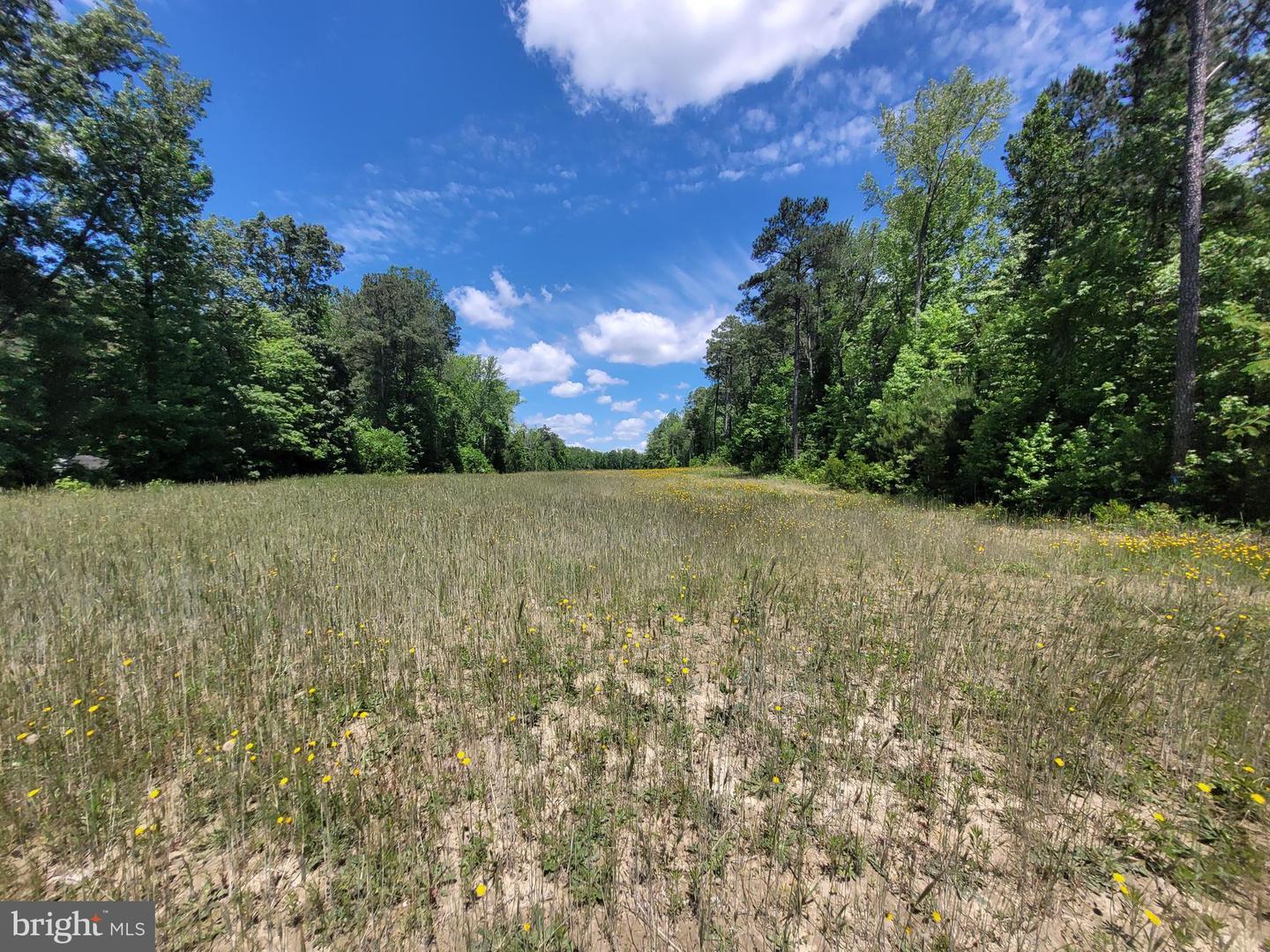 0 Pinckardsville Rd Property Photo 1
