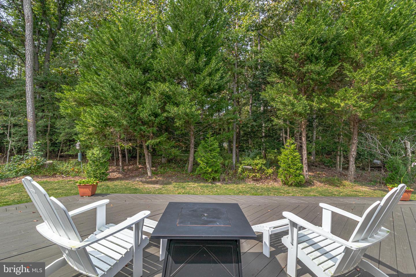 85 Pleasants Ln Property Photo 4