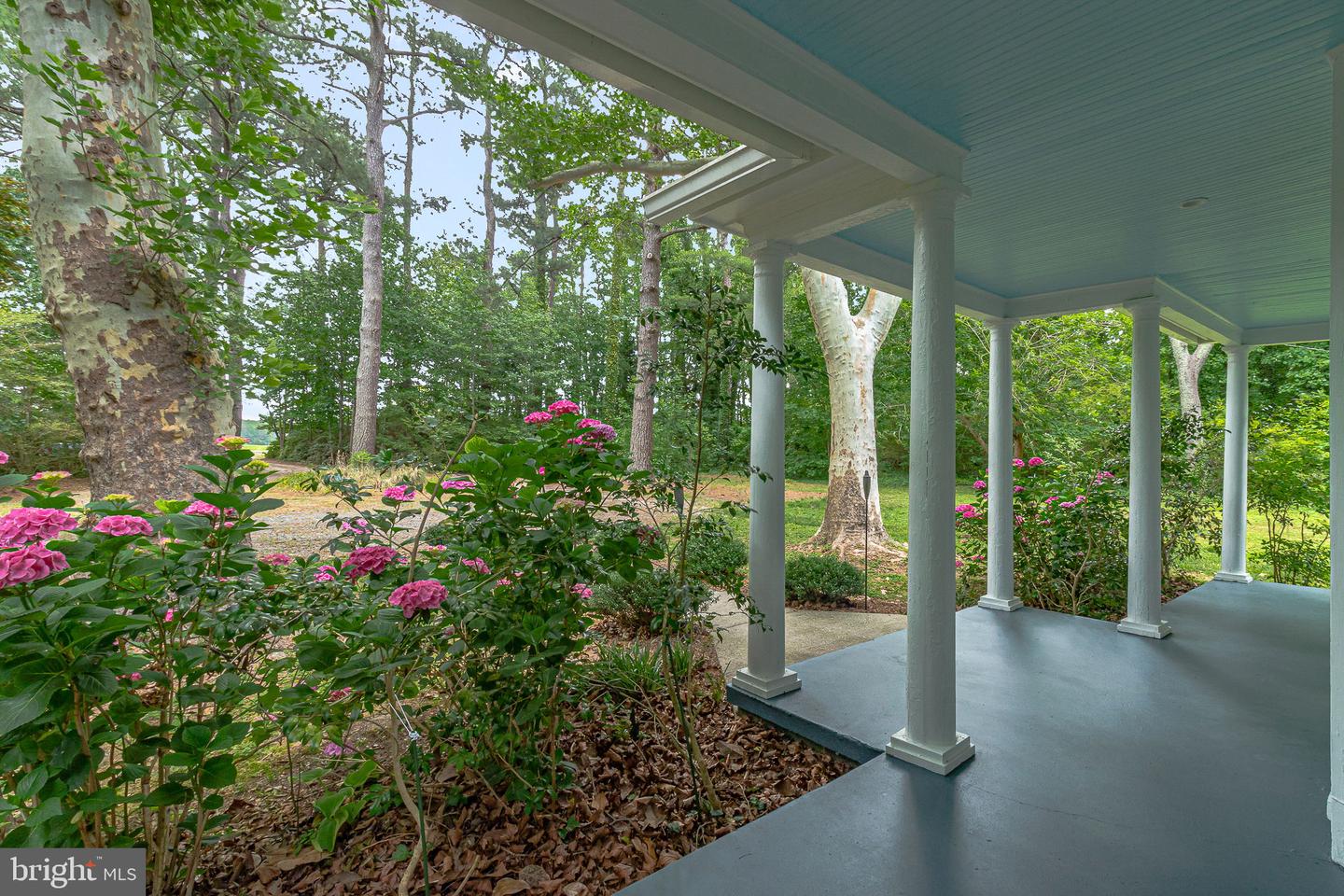 3952 Irvington Rd Property Photo 4