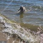 2010 River Rd #northern Neck Property Photo 60