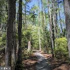 2010 River Rd #northern Neck Property Photo 65