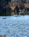 2010 River Rd #northern Neck Property Photo 79