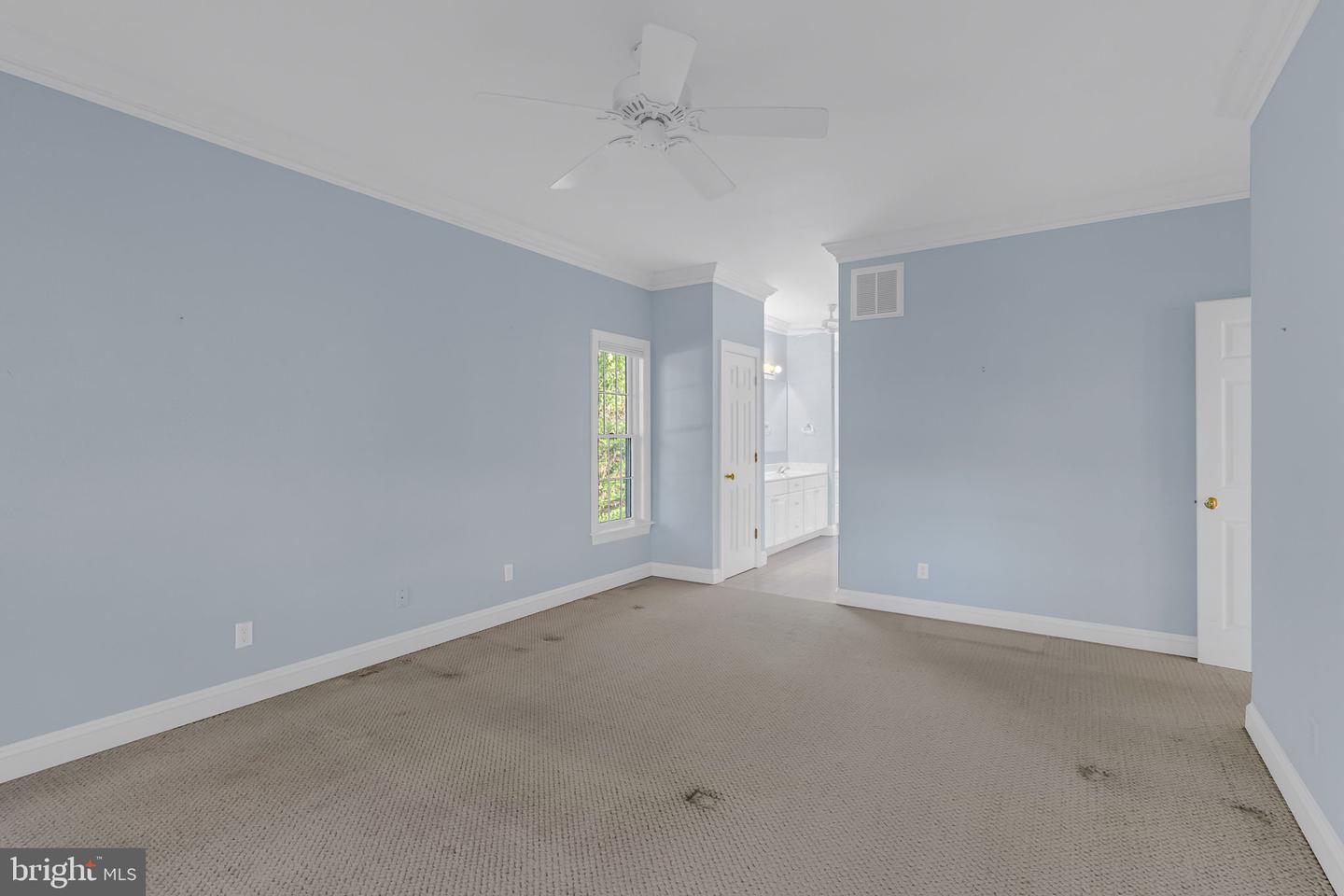 50 Cedardale Ln Property Photo 17