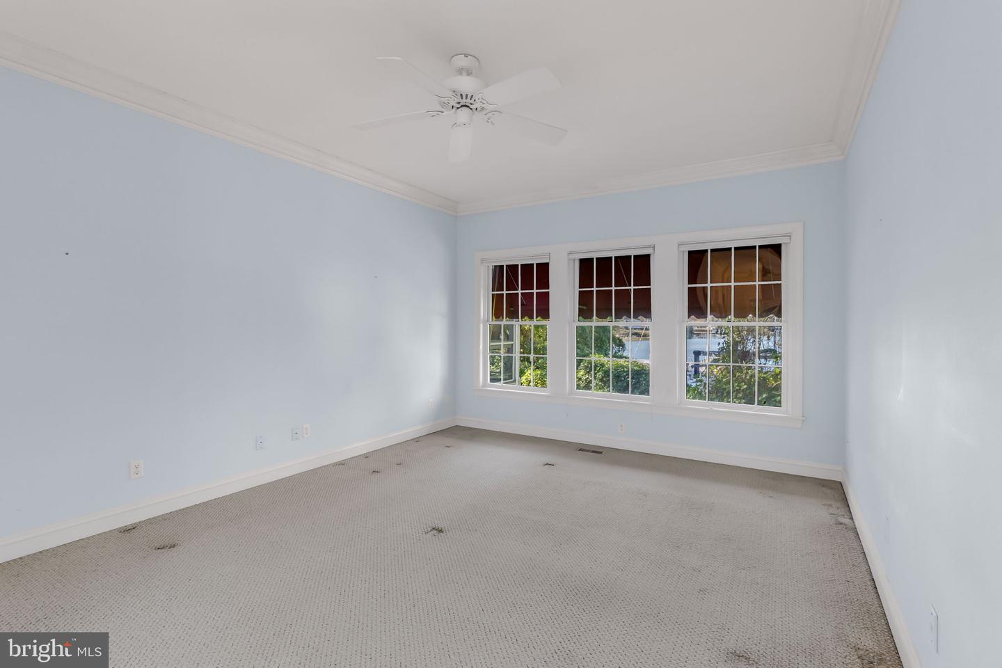 50 Cedardale Ln Property Photo 18