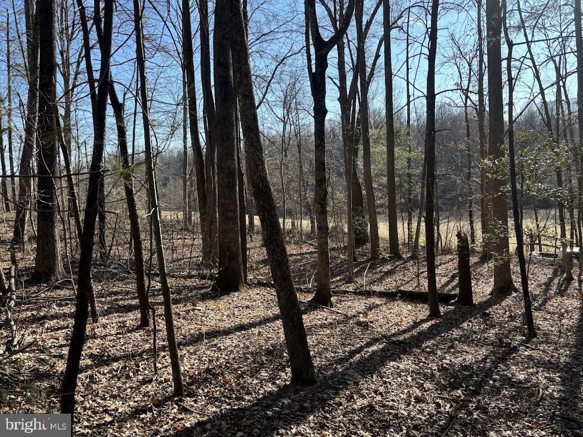 Madison County Real Estate Listings Main Image