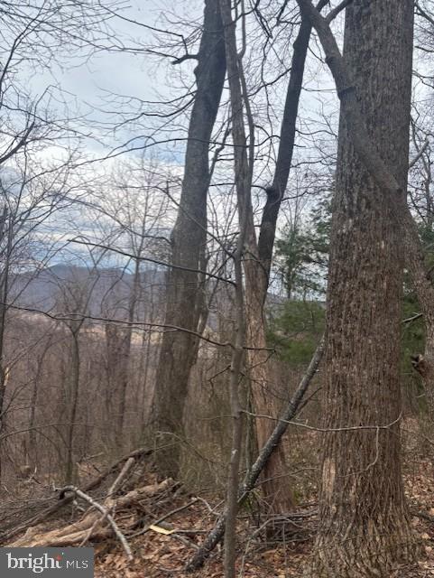 Revenooer Property Photo 2