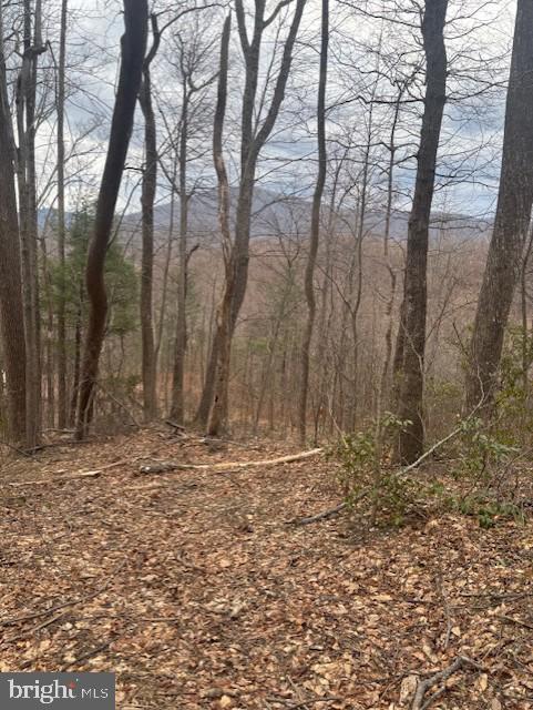 Revenooer Property Photo 3