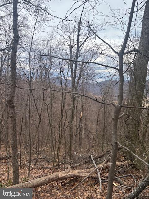 Revenooer Property Photo 4